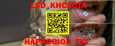прущие грибы Свободный