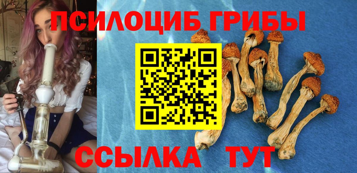 Псилоцибиновые грибы мухоморы Обь