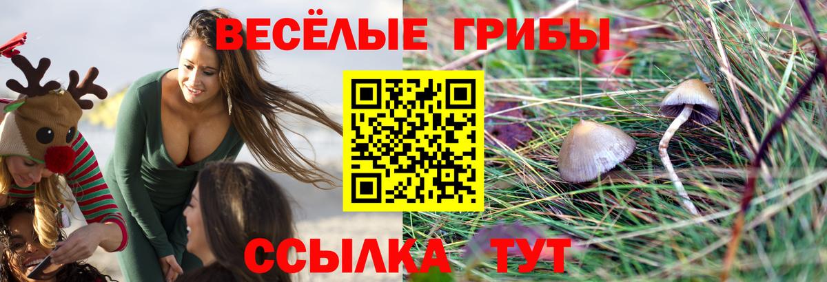 Псилоцибиновые грибы мухоморы  Вход с VPN  Обь  Галлюциногенные грибы прущие грибы 